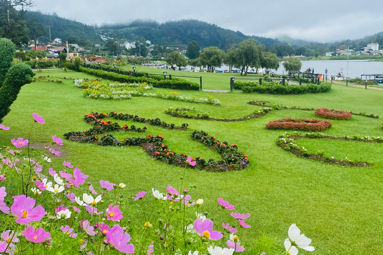 3-Day Private Tour: Sigiriya, Dambulla, Ella With Train Tour