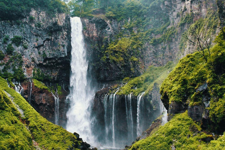 Tóquio: Viagem de 1 dia privada a Nikko com templos e natureza