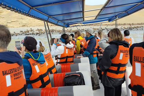 Sunrise in Paracas: Private Sailing to Ballestas Islands Sunrise in Paracas: Private Sailing to the Ballestas Islands