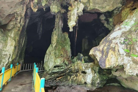 Langkawi: Kilim Geoforest Mangrove Tour with Fishing Trip Mangrove tour & Fishing 1-9 person