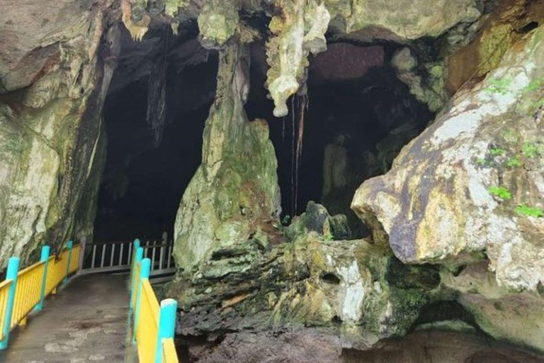 Langkawi: Kilim Geoforest Mangrove Tour with Fishing Trip Mangrove tour & Fishing 1-9 person