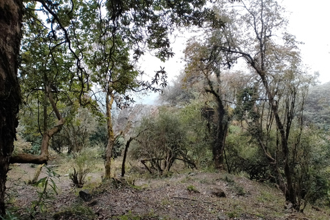 Escursione di 2 giorni a Poon Hill: cattura la migliore alba del Nepal