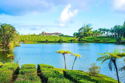 Los lugares imprescindibles de Mauricio(Copia de) Los lugares imprescindibles de Mauricio