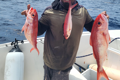 Martinique: Pelagic Fishing Trip Off the Caribbean Coast