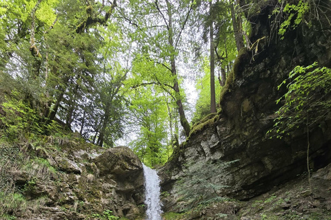 Montreux: May Snow Narcissus Bloom Guided Hike