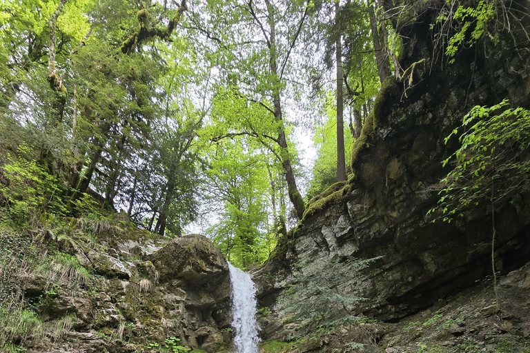 Montreux: May Snow Narcissus Bloom Guided Hike