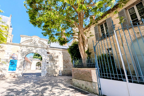 Tourist walk through the historic center of Troyes Sightseeing tour of the historic center of Troyes