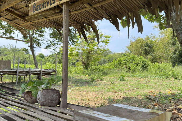 El Nido, Sibaltan: Local Organic Farm Tour & Product Tasting Farm Tour: 2 to 5