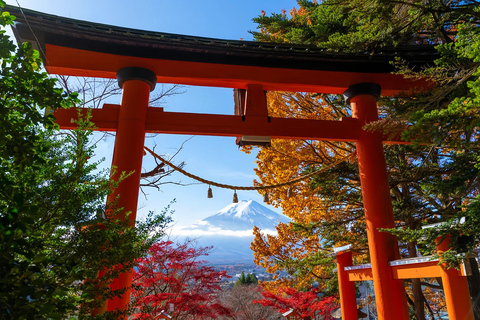 Mount Fuji Day Tour: Instagrammable Spots + Scenic Train From Tokyo (Including ropeway and cruise)