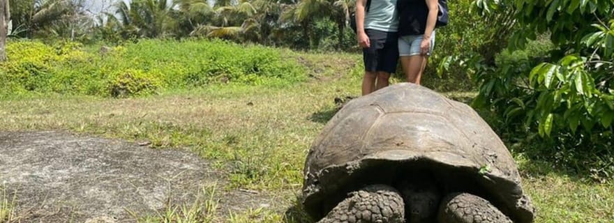 Galapagos: tour con tartarughe giganti, tunnel di lava e sosta ai crateri