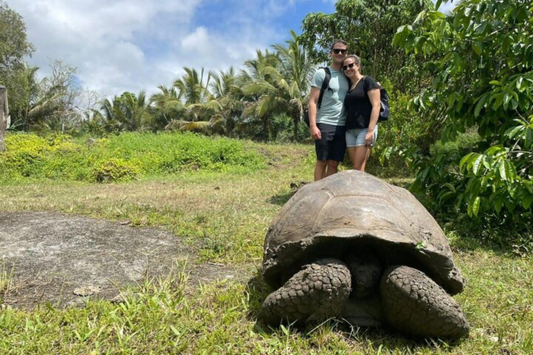 Galápagos : tortues géantes, tunnels de lave et cratèresGalápagos : visite guidée des tortues géantes, des tunnels de lave et des cratères