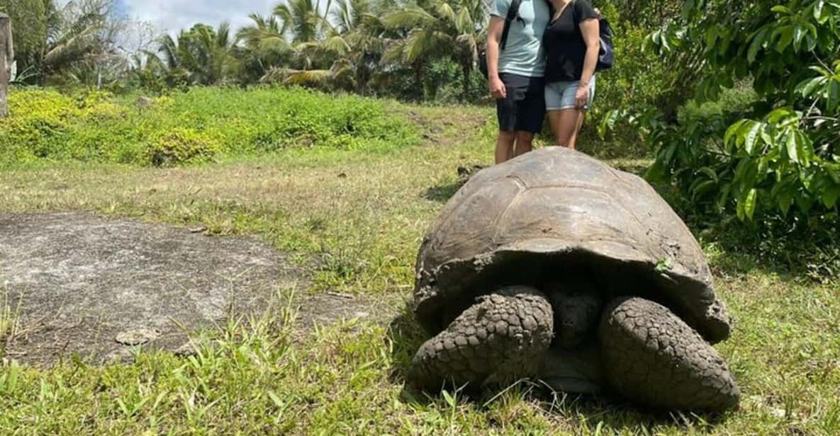 XXX mushuk suratlari Ajoyib ayol bilan jinsiy aloqa