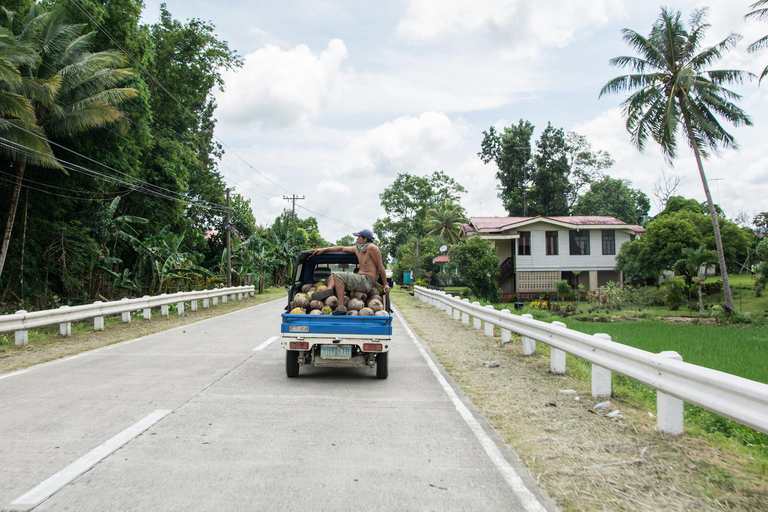 Bohol: Privétour over het platteland met lunchbuffetPlatteland Bohol