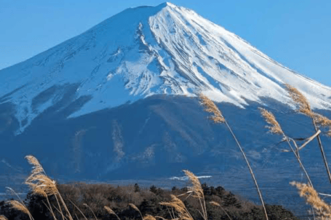 From Tokyo: Mount Fuji Full Day Customizable Private Tour