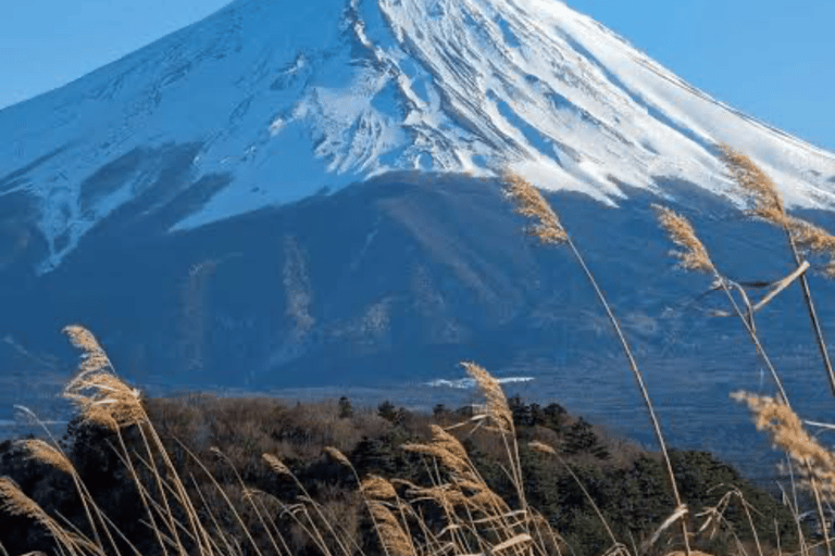 From Tokyo: Mount Fuji Full Day Customizable Private Tour