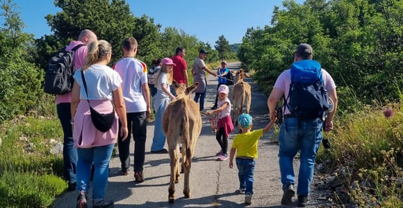 Familienfreundlicher Eselsspaziergang, versteckte Höhle und Ausblick auf die Kvarner Bucht