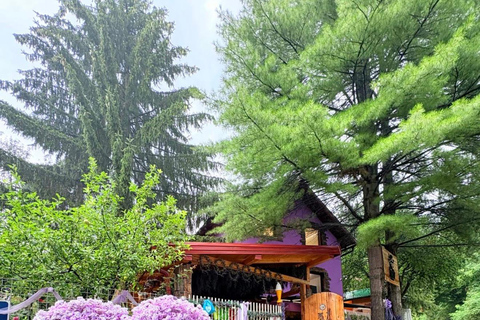 From Sarajevo: Bijambare Nature Park & Visoko Private Day