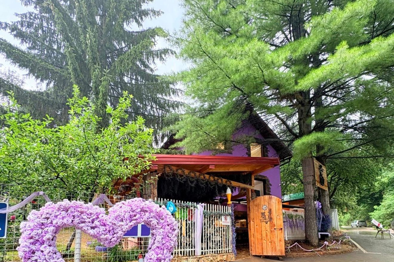 From Sarajevo: Bijambare Nature Park & Visoko Private Day
