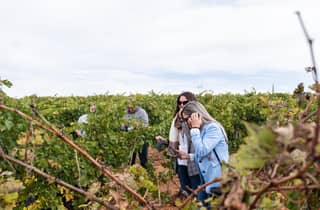 Valencia: Premium-Weinprobe & 3-Gänge-Gastronomie-Mittagessen