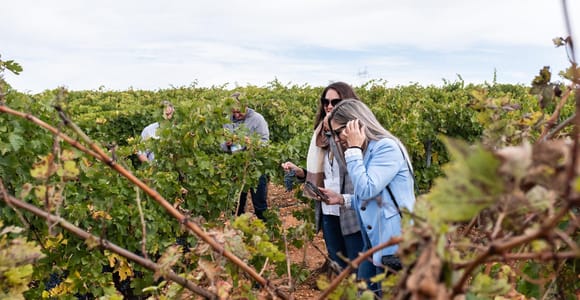 Valencia: Premium Wine Tasting & 3-Course Gastronomic Lunch