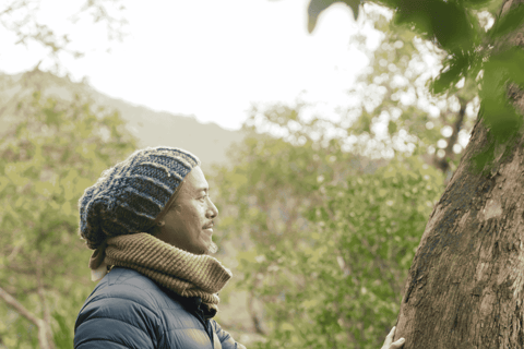 Hong Kong Eco-tourism: Guided Forest Bathing Experience Private Forest Therapy Session