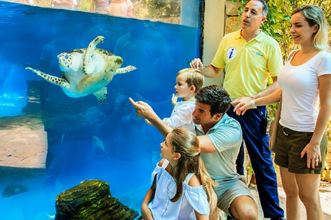 Mallorca: Entrada Palma Aquarium con Cine 3D
