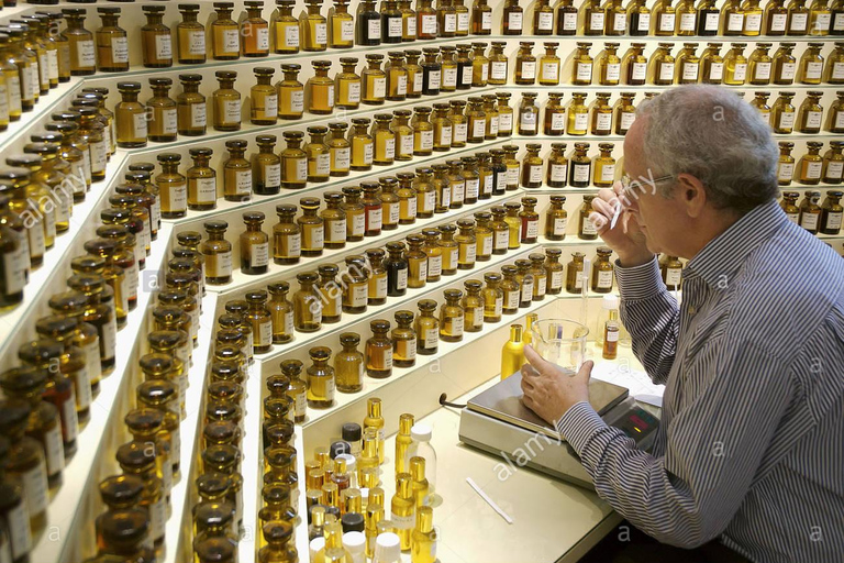 Grasse, Gourdon and local wine tasting