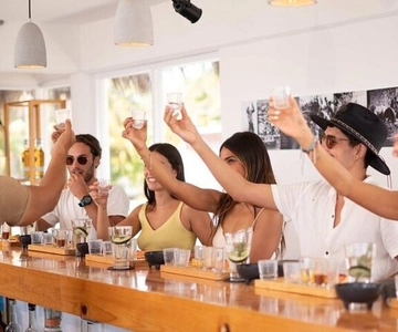 Cozumel: Mixology Experience with Rum and Gin Tasting