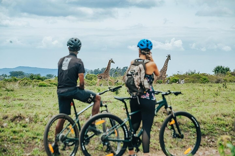 Arusza: safari rowerowe w parku narodowym