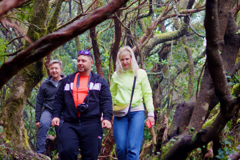 Tenerife: Anaga Hidden Gems Tour with Free Pickup Explore Anaga's hidden gem. Private tour.