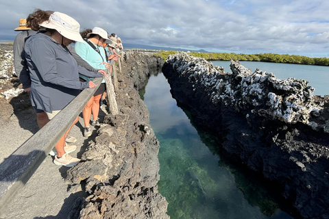 2 JOURS ÎLE ISABELA- ÎLOT TINTORERAS &amp; TUNELES CABO ROSA