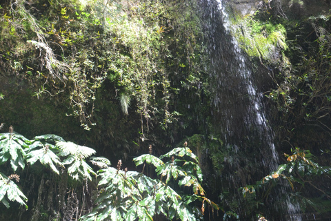 Sao Miguel Hike to Janela do Inferno and Lagoa do Fogo