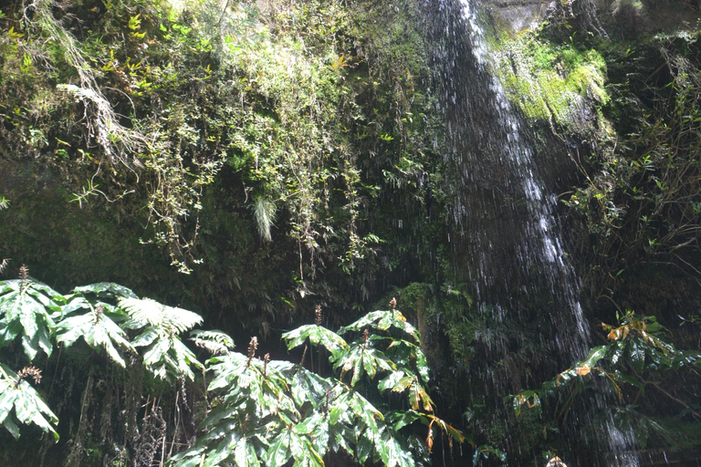 Sao Miguel Hike to Janela do Inferno and Lagoa do Fogo