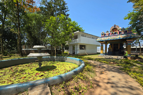 From Kandy: Pinnawala Elephants & Ambuluwawa Tower Day Tour From Kandy: Ambuluwawa Tower private tour by car/mini van 02