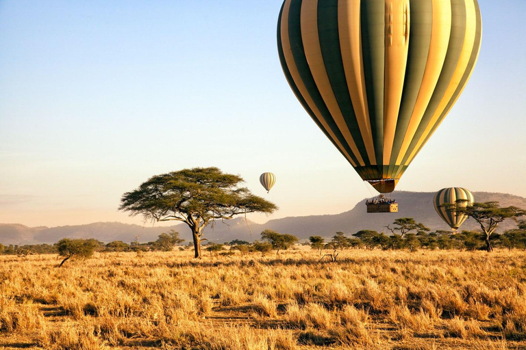 Desde Zanzíbar: safari en avión de 3 días al Serengeti y Ngorongoro