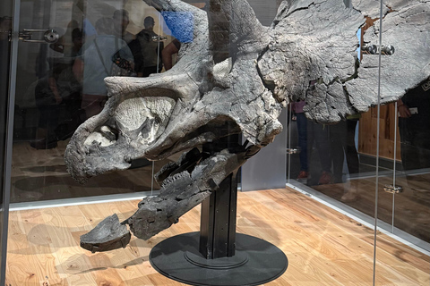 Day of Dinosaurs and Hoodoos From Calgary to Drumheller