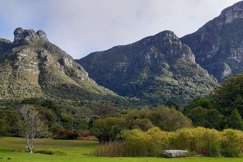 Cape Town: Private Full Day City &amp; Winelands Tour