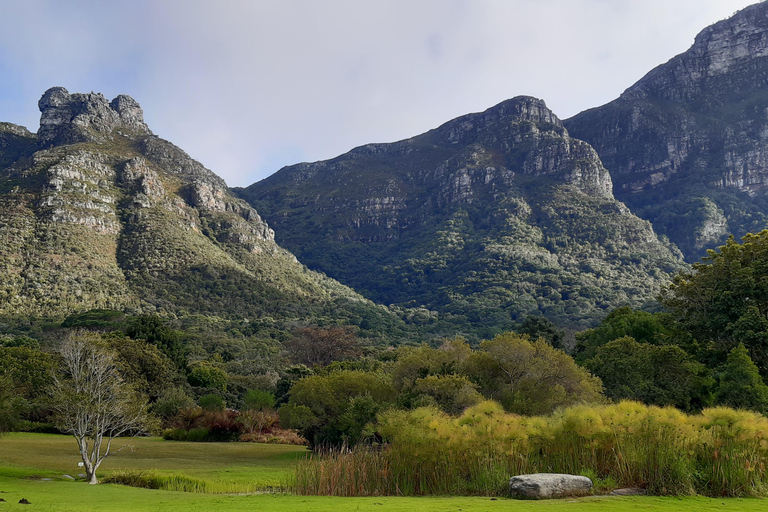 Cidade do Cabo: Excursão particular de 1 dia pela cidade e Winelands