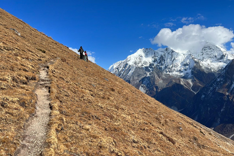 Un Trekking de 10 Días a Langtang: Naturaleza, Cultura y Aventura