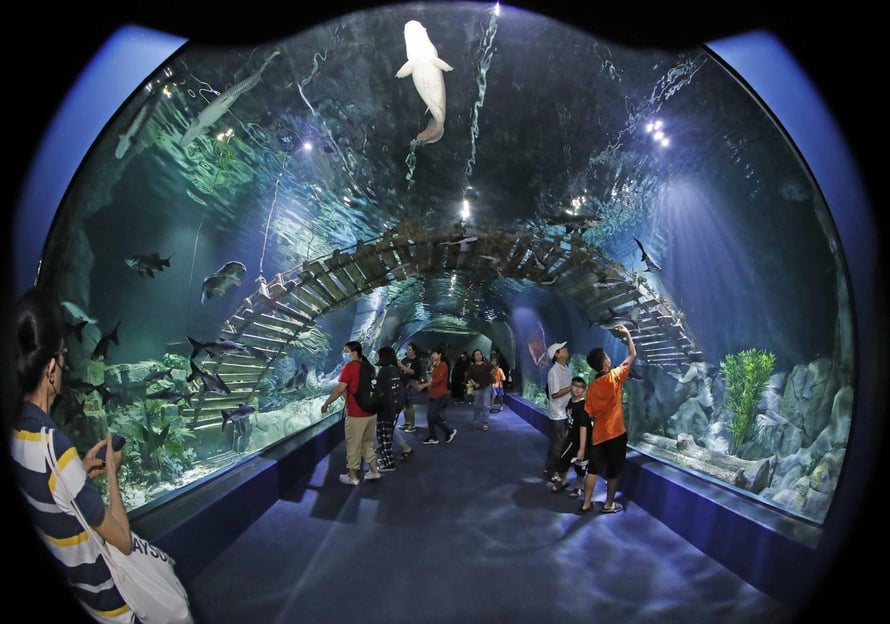 Acuario de Lotte World de Hanói: ticket de entrada