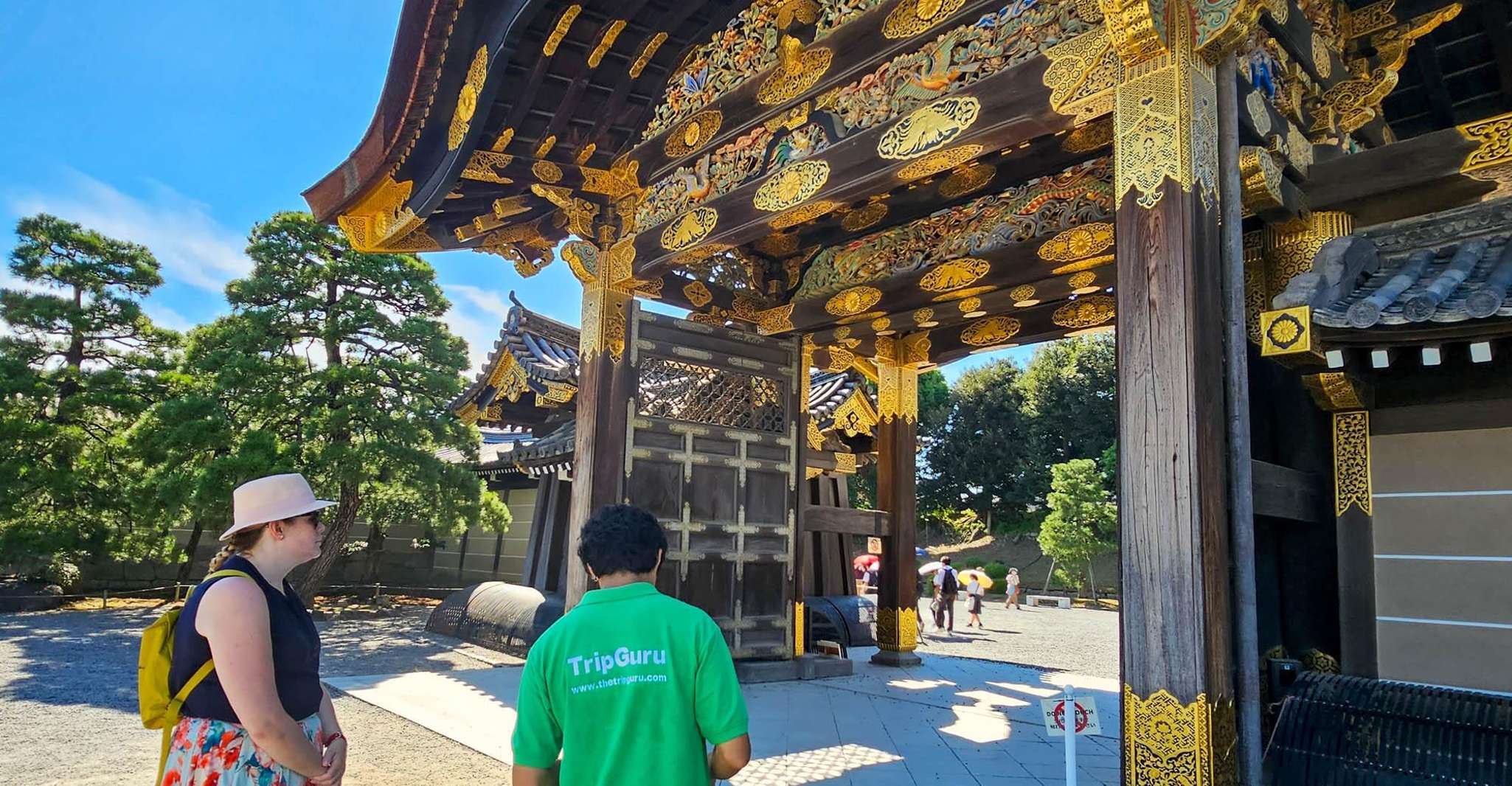 Kyoto, Imperial Palace & Nijo Castle Guided Walking Tour - Housity