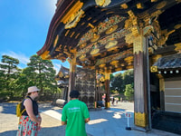 Kyoto, Imperial Palace & Nijo Castle Guided Walking Tour - Housity