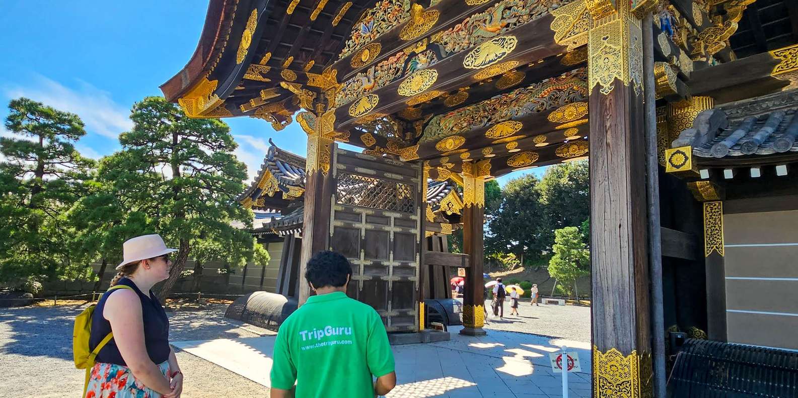 Kyoto experience — temples, geisha, bamboo grove — image 9