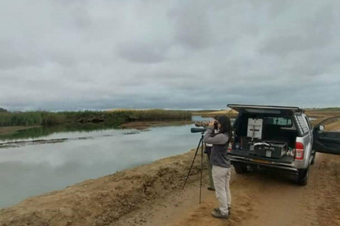 Walvis Bay: Excursión de Observación de Aves y Fotografía