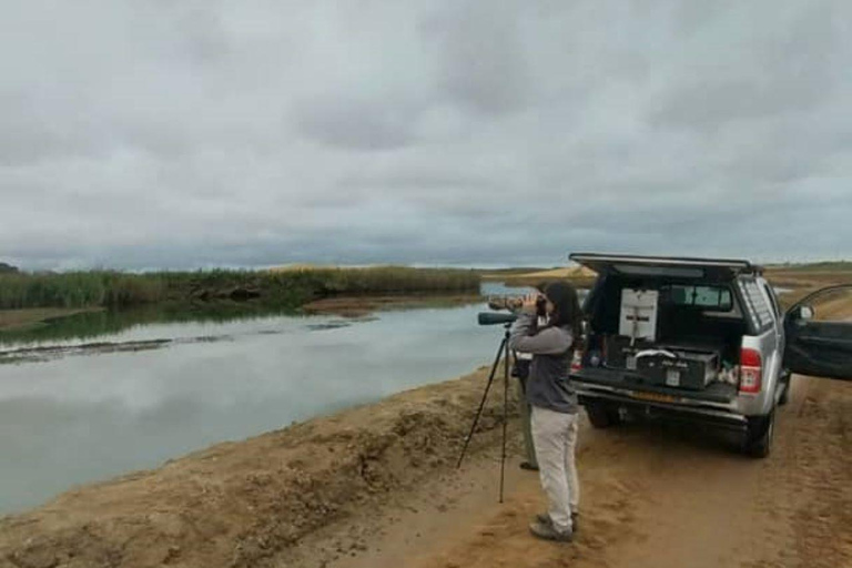 Walvis Bay: Fågelskådning och fotografering