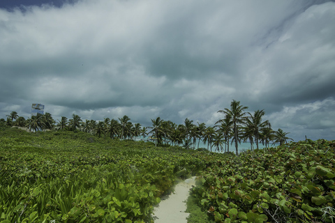 Cancun ou Riviera Maya : journée aux islas Contoy et MujeresVisite depuis le sud de la Riviera Maya