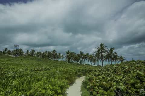 From Cancun or Riviera Maya: Isla Contoy & Mujeres Day Trip