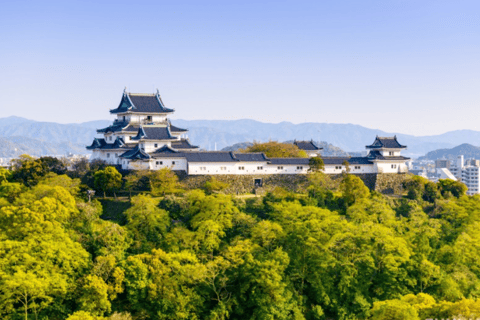 Osaka/Kyoto: Mount Koya &amp; Wakayama Privat dagsutflykt med guideRundresa från Osaka