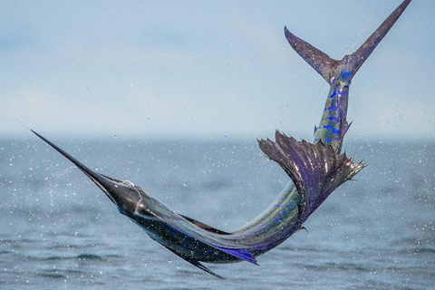 Fishing sporting zanzibar