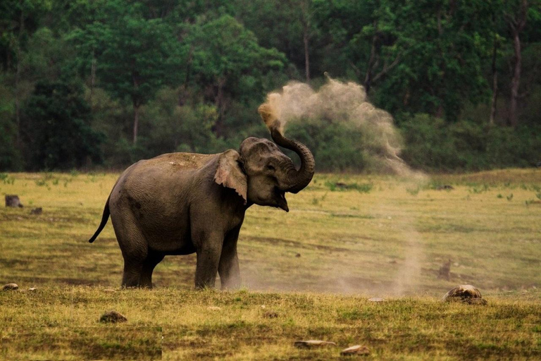 Golden Triangle Tour with Ranthambor Tiger Safari From Delhi From Delhi: Golden Triangle Private Tour with Taj Mahal